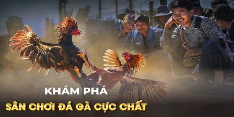 Bí Kíp Và Cách Chơi Đá Gà GA28 Tại HitClub Thắng Lớn