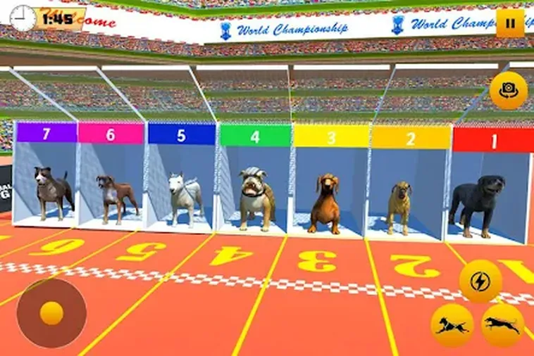 Hướng Dẫn Chi Tiết Cách Chơi Game Nhanh Đua Chó Tại HitClub Cho Người Mới